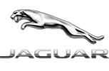 Jaguar Jaguar